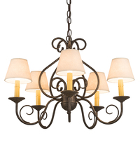  197364 - 24" Wide Jenna 5 LT Chandelier