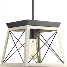  P500041-143 - Briarwood Collection One-Light Graphite Coastal Mini-Pendant Light