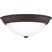  ERW1615OZ - Erwin Flush Mount