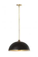  1004P20-MB-RB - 1 Light Pendant