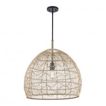  PND-2249 BK - Reef 1 - Light Rattan Pendant