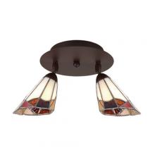  CK139-2 - Ceiling Lamp