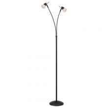  F44-2 - Floor Lamp