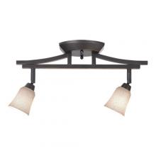  TK210-2 - Directional Semi-Flush Mount