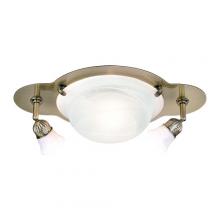  TK76-12 - Directional Flush Mount