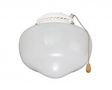  CFSLKPFWW - CFSLKPFWW - SCHOOLHOUSE LIGHT FIXTURE IN APPLIANCE WHITE