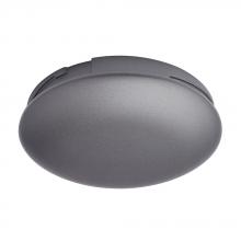  CP315GRT - LINDBERGH ECO NO-LIGHT PLATE IN GRAPHITE