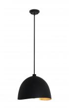  P1914-711 - Eclos - 1 Lt Pendant