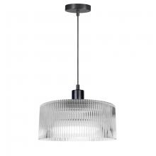  NAD-123P-MB-FL - 1LT Pendant, MB w/ FL Glass