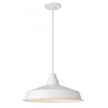  OLY-161P-MW - 1LT Pendant, MW