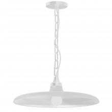  QTN-181P-MW - 1 Light Incandescent Pendant Matte White